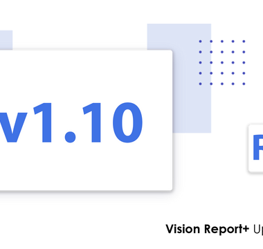 Vision Report+ v1.10