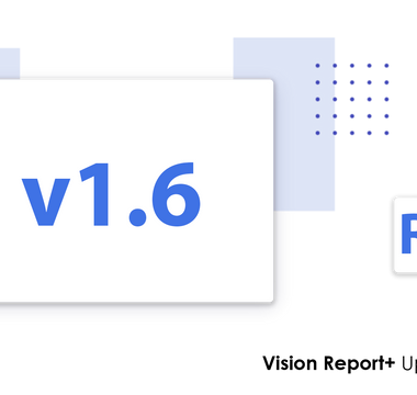 Vision Report+ v1.6