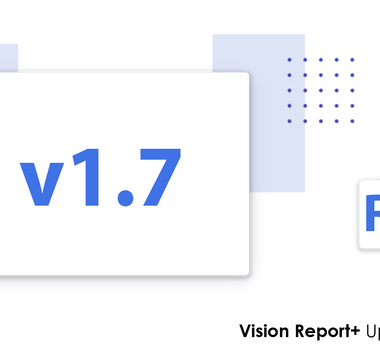 Vision Report+ v1.7
